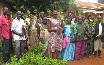environmental-sustainability environmental-sustainability