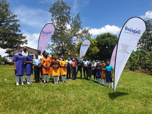 BEL tree planting BEL tree planting